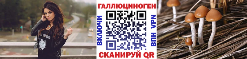 Купить  Россошь  Галлюциногенные грибы прущие грибы 
